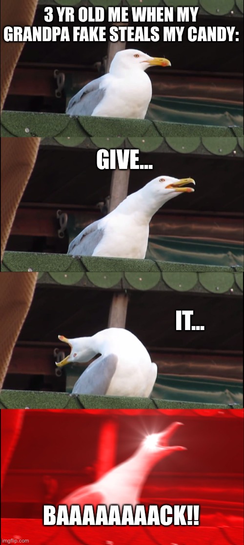 3 yr old me be like | 3 YR OLD ME WHEN MY GRANDPA FAKE STEALS MY CANDY:; GIVE... IT... BAAAAAAAACK!! | image tagged in memes,inhaling seagull | made w/ Imgflip meme maker