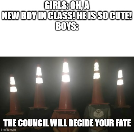 The big and sacred council... | GIRLS: OH, A NEW BOY IN CLASS! HE IS SO CUTE!
BOYS:; THE COUNCIL WILL DECIDE YOUR FATE | image tagged in the council will decide your fate,boys vs girls | made w/ Imgflip meme maker