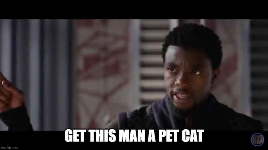 me everytime i see Sabastian | GET THIS MAN A PET CAT | image tagged in black panther - get this man a shield,black butler | made w/ Imgflip meme maker