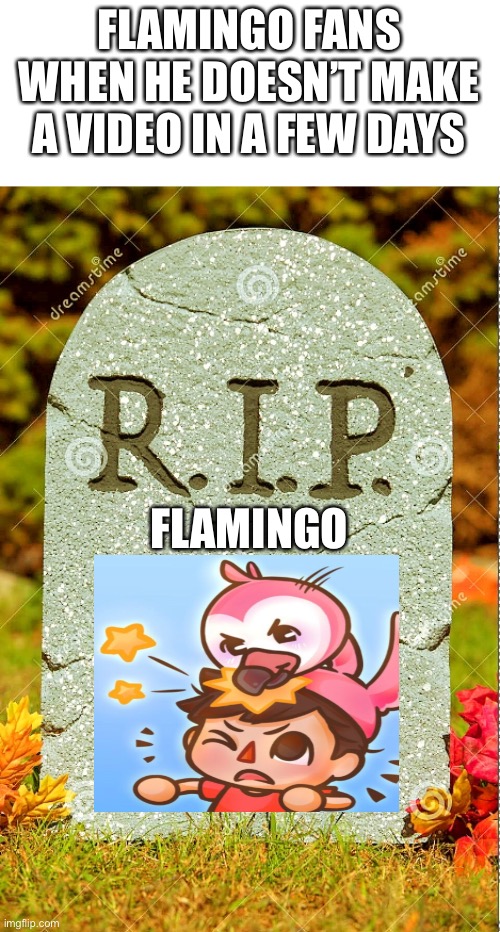 Flamingo Fans be like! | FLAMINGO FANS WHEN HE DOESN’T MAKE A VIDEO IN A FEW DAYS; FLAMINGO | image tagged in r i p sm | made w/ Imgflip meme maker