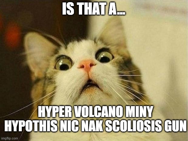 Scared Cat Meme | IS THAT A... HYPER VOLCANO MINY HYPOTHIS NIC NAK SCOLIOSIS GUN | image tagged in memes,scared cat | made w/ Imgflip meme maker