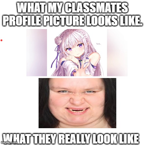 ???????????? | WHAT MY CLASSMATES PROFILE PICTURE LOOKS LIKE. WHAT THEY REALLY LOOK LIKE | image tagged in memes,blank transparent square | made w/ Imgflip meme maker