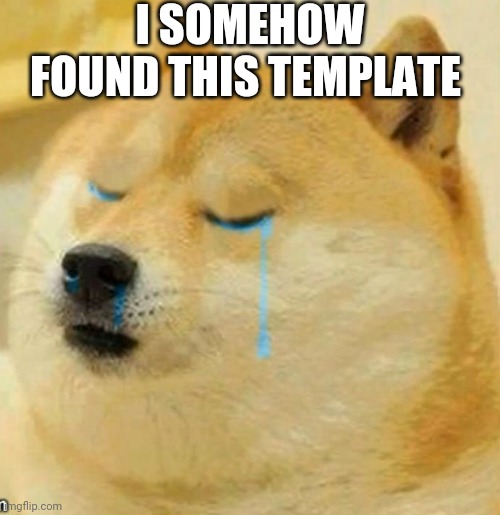 Although It Is My Current Mood | I SOMEHOW FOUND THIS TEMPLATE | image tagged in sad doge | made w/ Imgflip meme maker