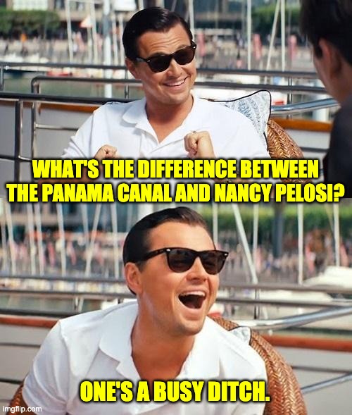 Busy ditch | WHAT'S THE DIFFERENCE BETWEEN THE PANAMA CANAL AND NANCY PELOSI? ONE'S A BUSY DITCH. | image tagged in memes,leonardo dicaprio wolf of wall street | made w/ Imgflip meme maker
