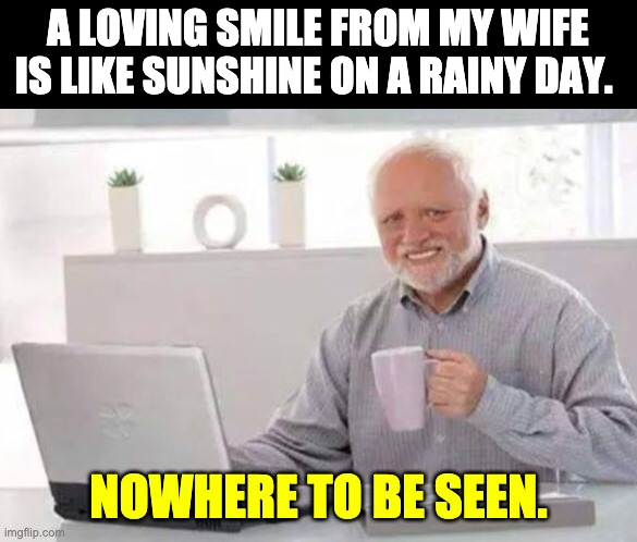 Loving Smile | A LOVING SMILE FROM MY WIFE IS LIKE SUNSHINE ON A RAINY DAY. NOWHERE TO BE SEEN. | image tagged in harold | made w/ Imgflip meme maker
