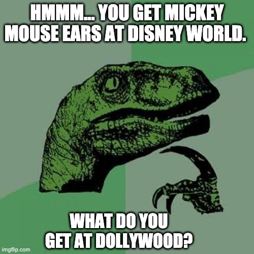 Dollywood | HMMM… YOU GET MICKEY MOUSE EARS AT DISNEY WORLD. WHAT DO YOU GET AT DOLLYWOOD? | image tagged in memes,philosoraptor | made w/ Imgflip meme maker