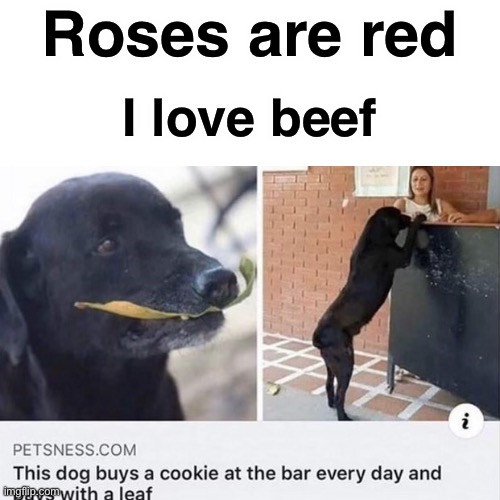 Roses are red; I love beef | made w/ Imgflip meme maker