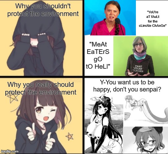 MRM - Marketing really matters | "YoU're aT fAuLt for the cLimAte ChAnGe"; Why you shouldn't protect the environment; "MeAt EaTErS gO tO HeLl"; Y-You want us to be happy, don't you senpai? Why you really should protect the environment | image tagged in anime drake | made w/ Imgflip meme maker