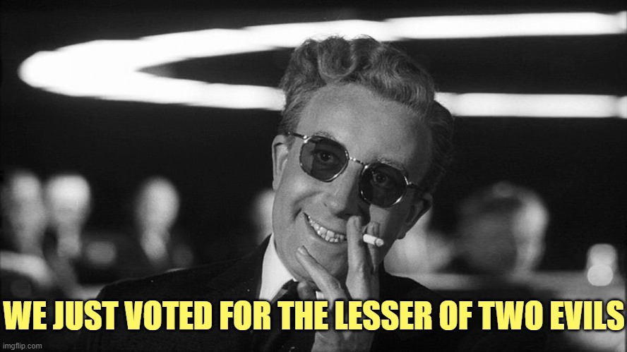 Doctor Strangelove says... | WE JUST VOTED FOR THE LESSER OF TWO EVILS | image tagged in doctor strangelove says | made w/ Imgflip meme maker