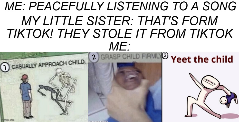 My Little sister be like: | ME: PEACEFULLY LISTENING TO A SONG; MY LITTLE SISTER: THAT'S FORM TIKTOK! THEY STOLE IT FROM TIKTOK; ME: | image tagged in casually approach child grasp child firmly yeet the child,casually approach child,memes,skeleton,yeet the child | made w/ Imgflip meme maker