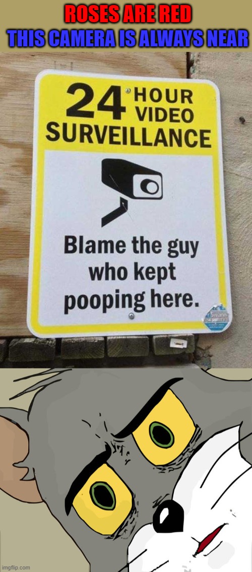 Someone needs to install a porta potty... | ROSES ARE RED; THIS CAMERA IS ALWAYS NEAR | image tagged in memes,unsettled tom,funny signs,funny,rhymes | made w/ Imgflip meme maker