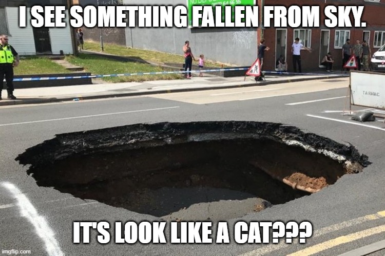 I SEE SOMETHING FALLEN FROM SKY. IT'S LOOK LIKE A CAT??? | made w/ Imgflip meme maker