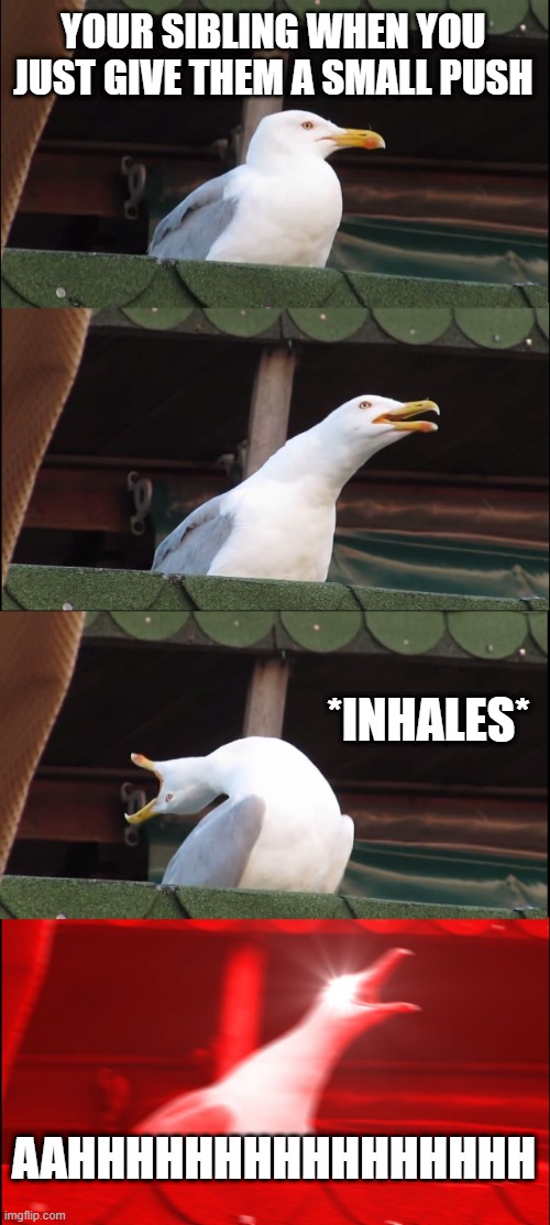 Sibling trouble | YOUR SIBLING WHEN YOU JUST GIVE THEM A SMALL PUSH; *INHALES*; AAHHHHHHHHHHHHHHHH | image tagged in memes,inhaling seagull | made w/ Imgflip meme maker