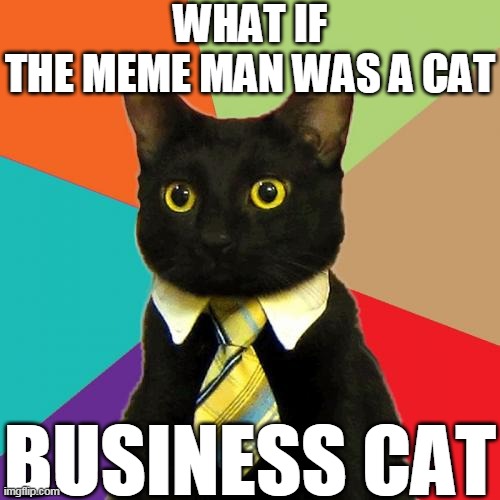 Business Cat | WHAT IF THE MEME MAN WAS A CAT; BUSINESS CAT | image tagged in memes,business cat | made w/ Imgflip meme maker