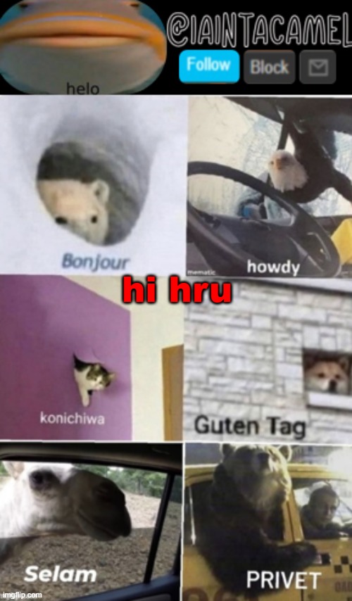 iaintacamel | hi hru | image tagged in iaintacamel | made w/ Imgflip meme maker