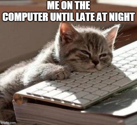 tired cat | ME ON THE COMPUTER UNTIL LATE AT NIGHT | image tagged in tired cat | made w/ Imgflip meme maker