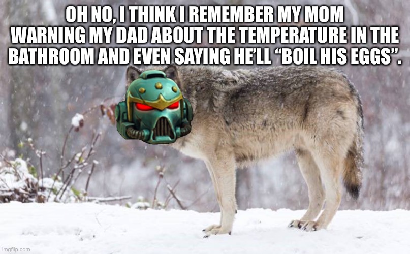 Space Wolf | OH NO, I THINK I REMEMBER MY MOM WARNING MY DAD ABOUT THE TEMPERATURE IN THE BATHROOM AND EVEN SAYING HE’LL “BOIL HIS EGGS”. | image tagged in space wolf | made w/ Imgflip meme maker