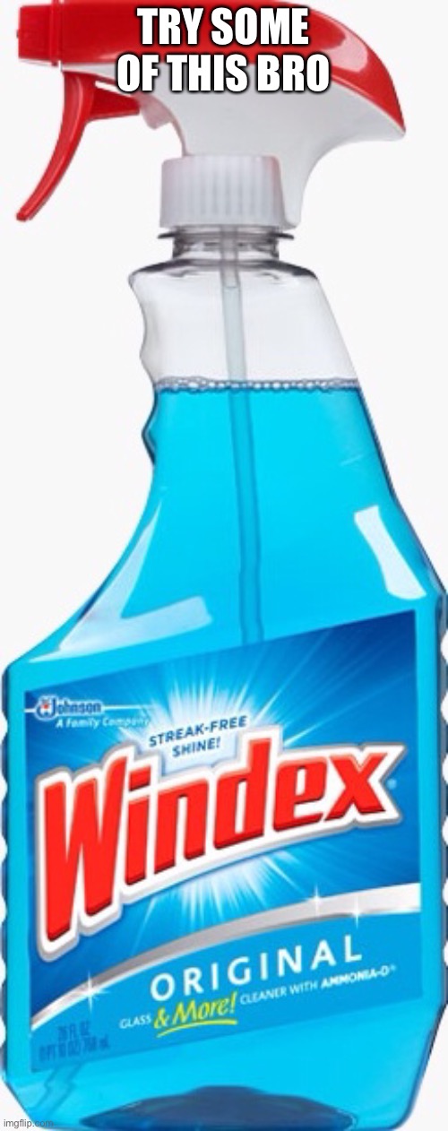 Windex | TRY SOME OF THIS BRO | image tagged in windex | made w/ Imgflip meme maker