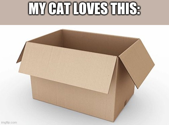 Empty Cardboard Box | MY CAT LOVES THIS: | image tagged in empty cardboard box | made w/ Imgflip meme maker