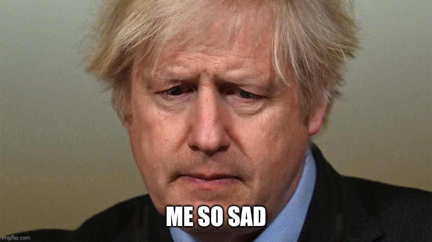 Sad Boris Johnson | ME SO SAD | image tagged in sad boris johnson | made w/ Imgflip meme maker