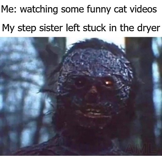 Me: watching some funny cat videos; My step sister left stuck in the dryer | image tagged in sister | made w/ Imgflip meme maker
