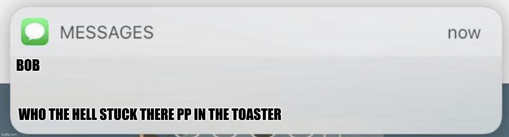 My Group Chat be like: | BOB; WHO THE HELL STUCK THERE PP IN THE TOASTER | image tagged in messages | made w/ Imgflip meme maker