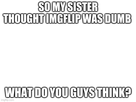 a sin | SO MY SISTER THOUGHT IMGFLIP WAS DUMB; WHAT DO YOU GUYS THINK? | image tagged in blank white template | made w/ Imgflip meme maker