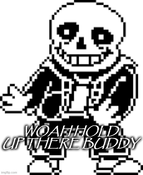 sans hold up | WOAH HOLD UP THERE BUDDY | image tagged in sans hold up | made w/ Imgflip meme maker