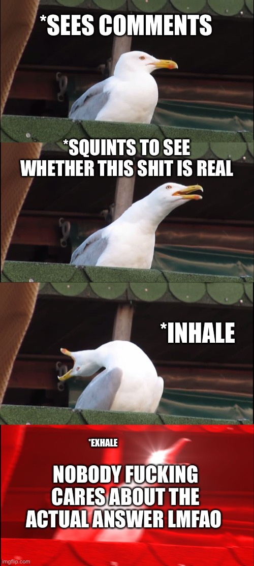*SEES COMMENTS *SQUINTS TO SEE WHETHER THIS SHIT IS REAL *INHALE *EXHALE NOBODY FUCKING CARES ABOUT THE ACTUAL ANSWER LMFAO | image tagged in memes,inhaling seagull | made w/ Imgflip meme maker
