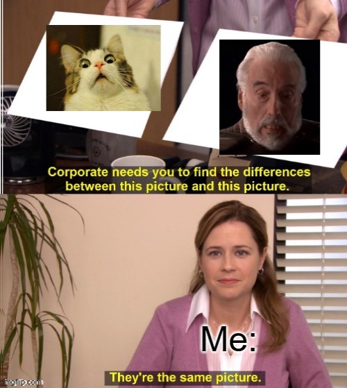 They are the same images | image tagged in cat,star wars | made w/ Imgflip meme maker