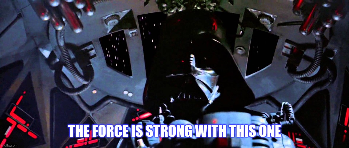 The Force Is Strong With This One | THE FORCE IS STRONG WITH THIS ONE | image tagged in the force is strong with this one | made w/ Imgflip meme maker