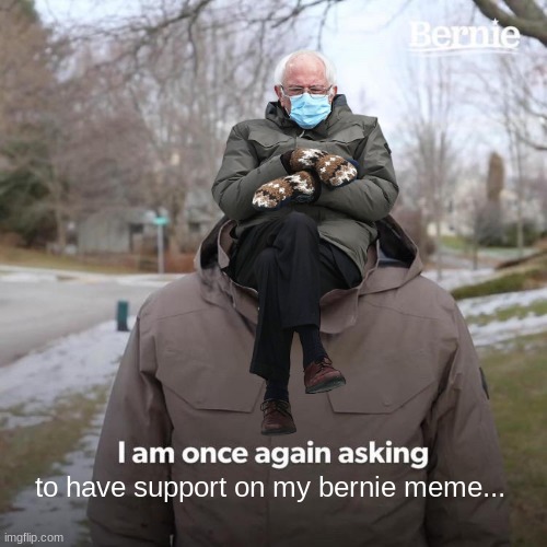 Did you see the bernie sanders meme? | to have support on my bernie meme... | image tagged in bernie sanders | made w/ Imgflip meme maker