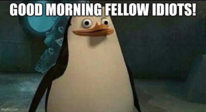 Confused Private Penguin | GOOD MORNING FELLOW IDIOTS! | image tagged in confused private penguin | made w/ Imgflip meme maker