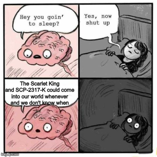 Hey you going to sleep? | The Scarlet King and SCP-2317-K could come into our world whenever and we don't know when | image tagged in hey you going to sleep | made w/ Imgflip meme maker