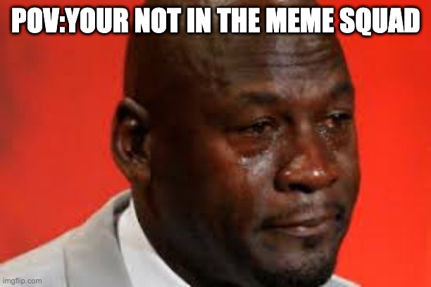 POV:YOUR NOT IN THE MEME SQUAD | image tagged in crying michael jordan | made w/ Imgflip meme maker