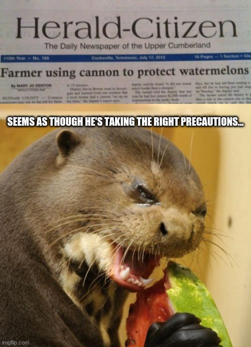 SEEMS AS THOUGH HE'S TAKING THE RIGHT PRECAUTIONS... | image tagged in memes,self loathing otter | made w/ Imgflip meme maker