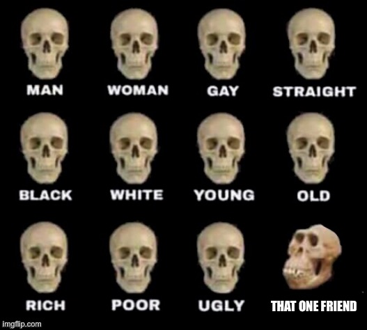 That one fried | THAT ONE FRIEND | image tagged in idiot skull | made w/ Imgflip meme maker