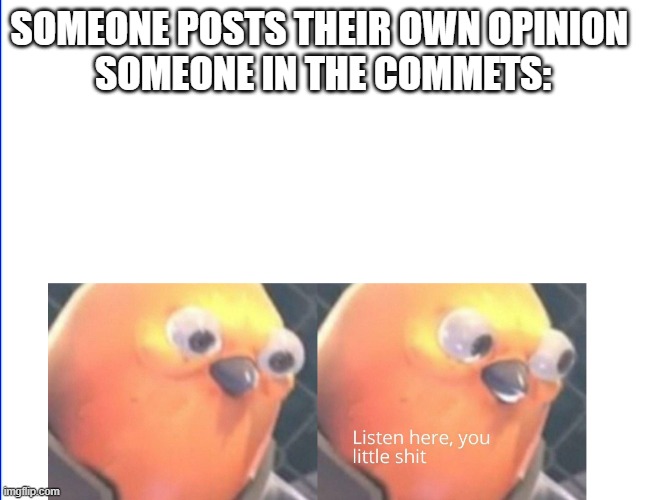 Why does this always happen | SOMEONE POSTS THEIR OWN OPINION 


SOMEONE IN THE COMMETS: | image tagged in listen here you little shit,opinions | made w/ Imgflip meme maker