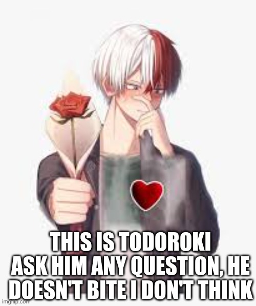 Ask Shoto anything | THIS IS TODOROKI ASK HIM ANY QUESTION, HE DOESN'T BITE I DON'T THINK | image tagged in anime,my hero academia,todoroki | made w/ Imgflip meme maker