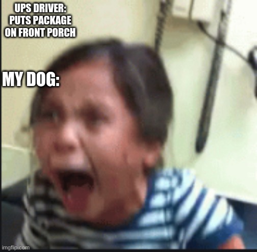 When the mail lady comes to the front door..... | UPS DRIVER: PUTS PACKAGE ON FRONT PORCH; MY DOG: | image tagged in ups drivers | made w/ Imgflip meme maker