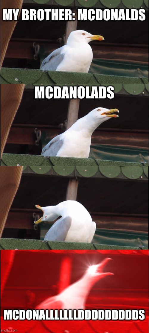 Inhaling Seagull | MY BROTHER: MCDONALDS; MCDANOLADS; MCDONALLLLLLLDDDDDDDDDS | image tagged in memes,inhaling seagull | made w/ Imgflip meme maker