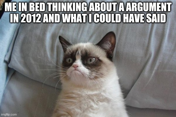 Grumpy Cat Bed |  ME IN BED THINKING ABOUT A ARGUMENT IN 2012 AND WHAT I COULD HAVE SAID | image tagged in memes,grumpy cat bed,grumpy cat | made w/ Imgflip meme maker