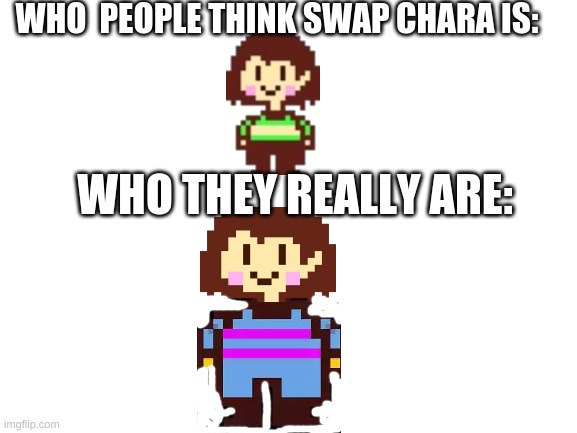 i stg this is it | WHO  PEOPLE THINK SWAP CHARA IS:; WHO THEY REALLY ARE: | image tagged in blank white template | made w/ Imgflip meme maker