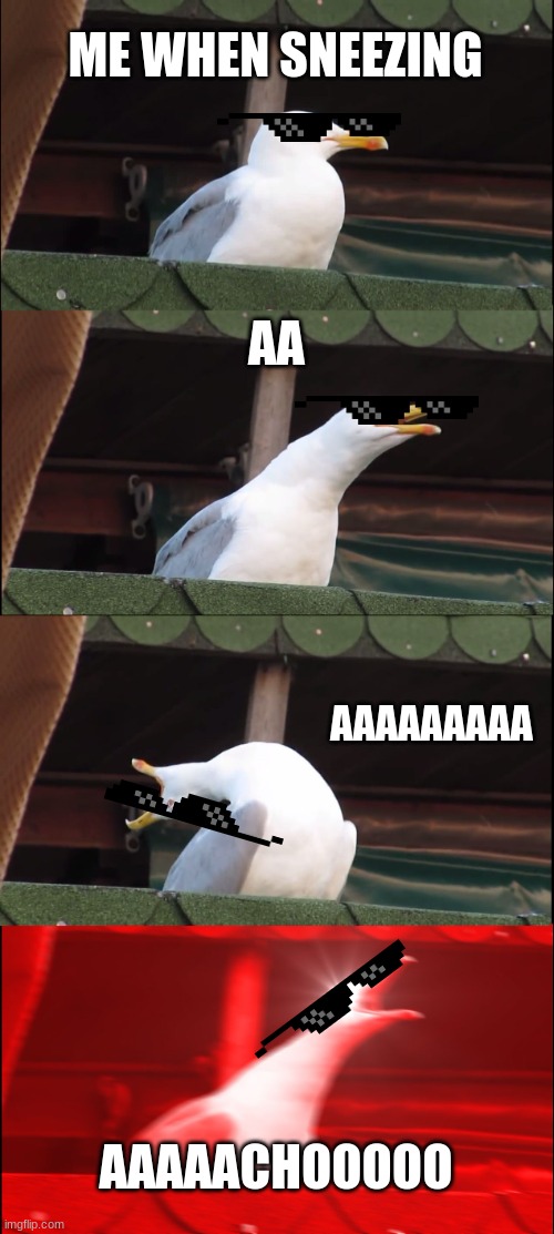 Inhaling Seagull | ME WHEN SNEEZING; AA; AAAAAAAAA; AAAAACHOOOOO | image tagged in memes,inhaling seagull | made w/ Imgflip meme maker