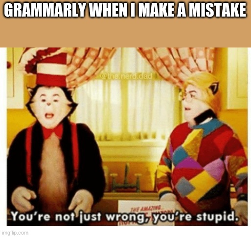 tru tho | GRAMMARLY WHEN I MAKE A MISTAKE | image tagged in you're not just wrong your stupid | made w/ Imgflip meme maker