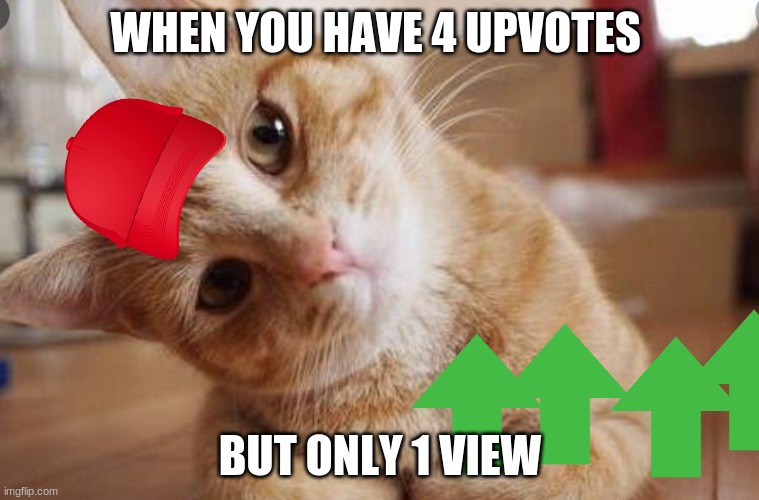 I'm happy about them but... | WHEN YOU HAVE 4 UPVOTES; BUT ONLY 1 VIEW | image tagged in please explain cat | made w/ Imgflip meme maker