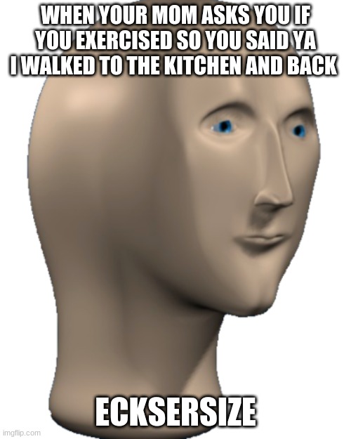 Meme Man |  WHEN YOUR MOM ASKS YOU IF YOU EXERCISED SO YOU SAID YA I WALKED TO THE KITCHEN AND BACK; ECKSERSIZE | image tagged in meme man | made w/ Imgflip meme maker
