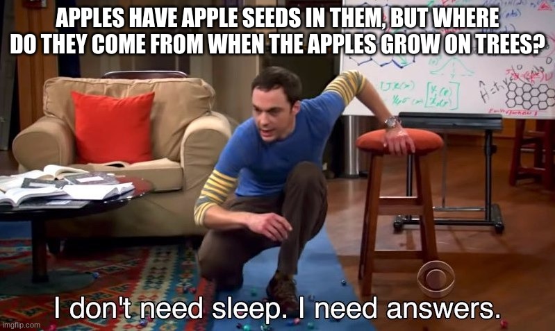 I don't need sleep I need answers | APPLES HAVE APPLE SEEDS IN THEM, BUT WHERE DO THEY COME FROM WHEN THE APPLES GROW ON TREES? | image tagged in i don't need sleep i need answers | made w/ Imgflip meme maker