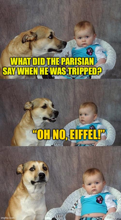 What the fu- | WHAT DID THE PARISIAN SAY WHEN HE WAS TRIPPED? “OH NO, EIFFEL!” | image tagged in memes,dad joke dog | made w/ Imgflip meme maker