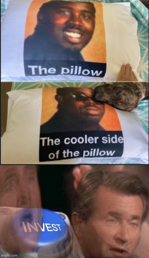 the only side I want to invest on is the cool side | image tagged in invest,the pillow the cooler side of the pillow,stop reading the tags and read the meme | made w/ Imgflip meme maker